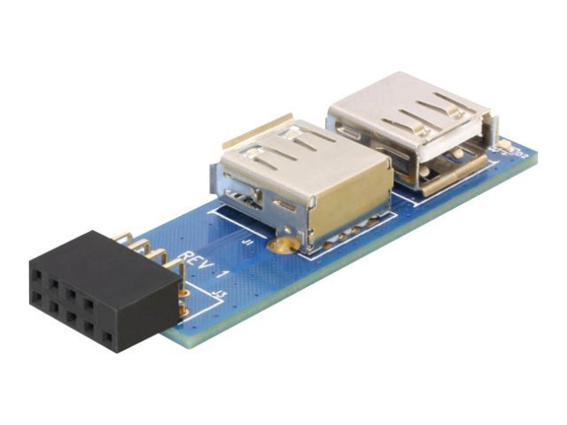 DELOCK MBz USB Pinheader Bu > 2x USB2.0-A Bu - Vorderansicht