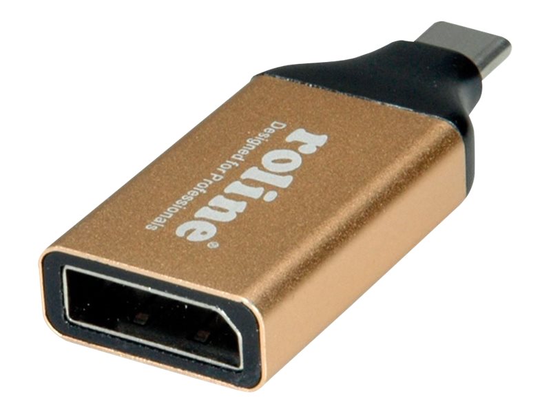 ROLINE GOLD Display Adapter USB Typ C - DisplayPort v1.2 Anschlussansicht