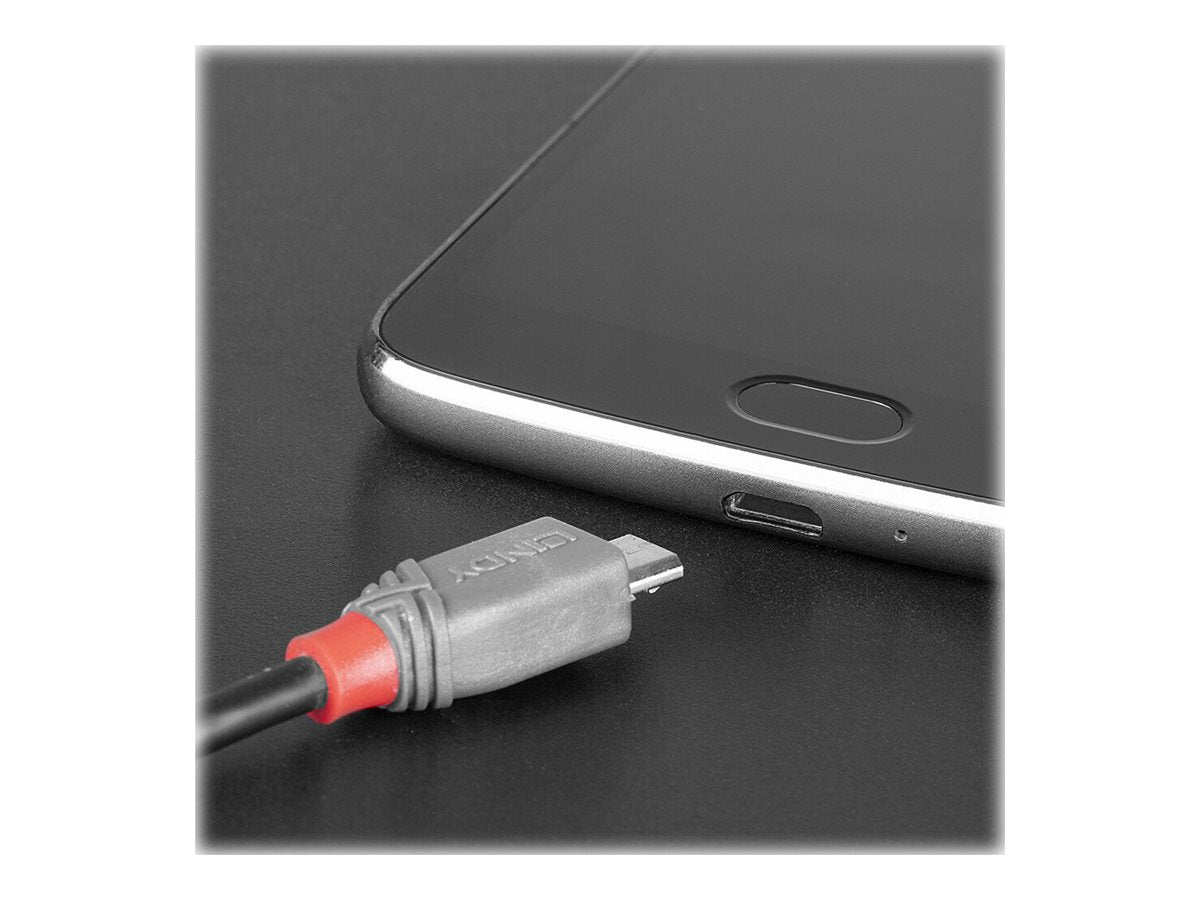 LINDY 1m USB 2.0 USB/C - Micro-B Kabel Verpackung
