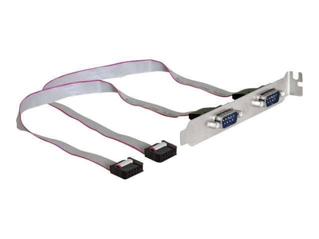 DELOCK Slotblech - Seriell 2xPort Vorderansicht