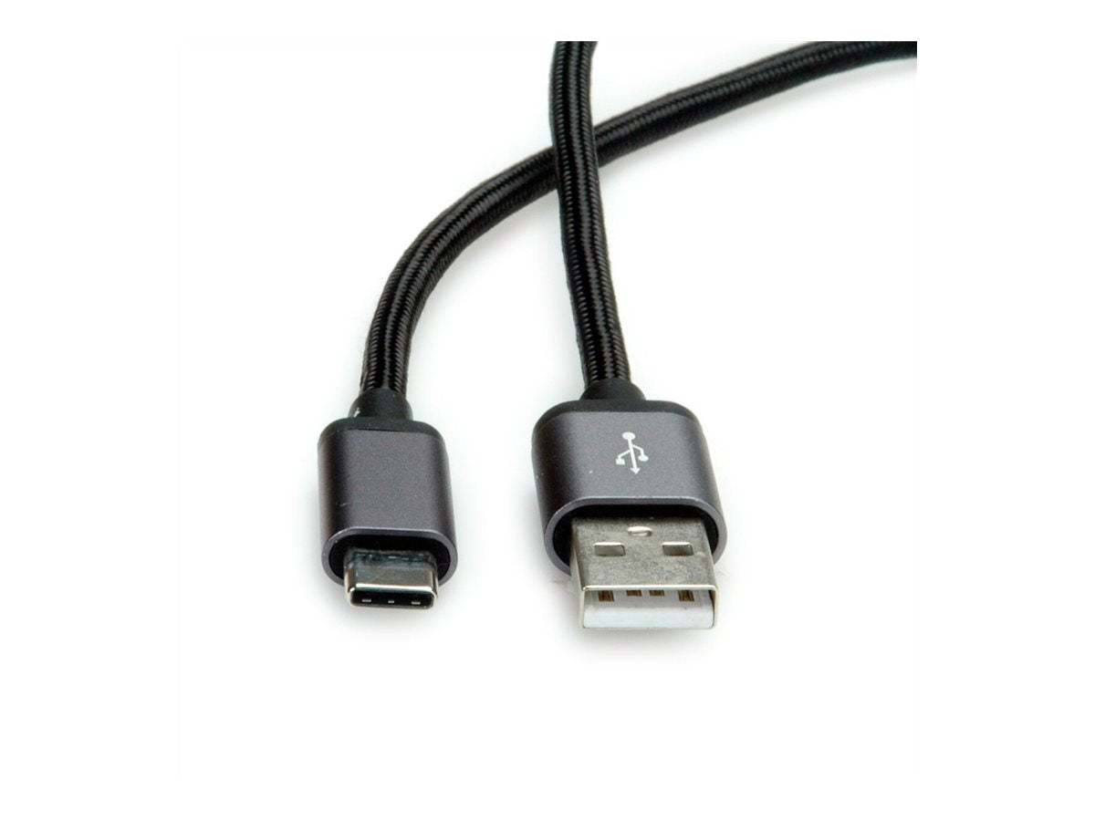 ROLINE USB 2.0 Kabel Typ C - Typ A Vorderansicht