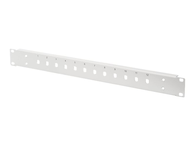 DIGITUS LWL-Frontblende 1HE 12x ST fix grau RAL 7035 - Vorderansicht