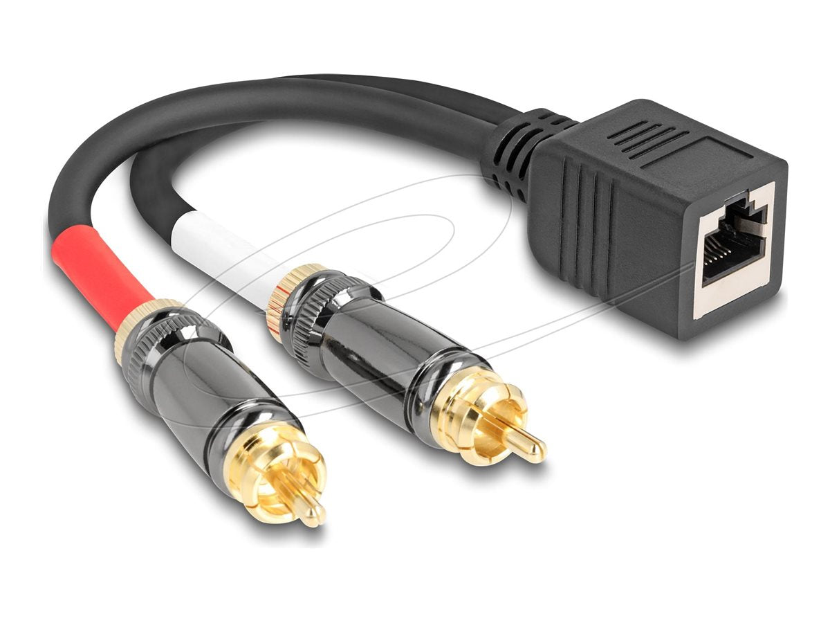 DELOCK Adapterkabel RJ45 Buchse zu 2 x Cinch Stecker schwarz 20cm - Vorderansicht