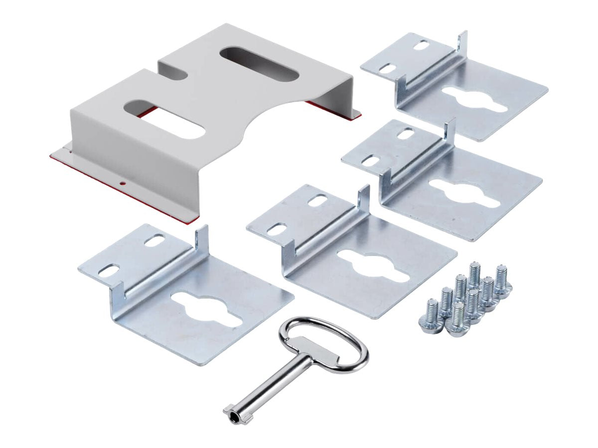 EATON TRIPPLITE SmartRack Outdoor Ind. Encl. w Lock - NEMA 4 Surface Mount 25