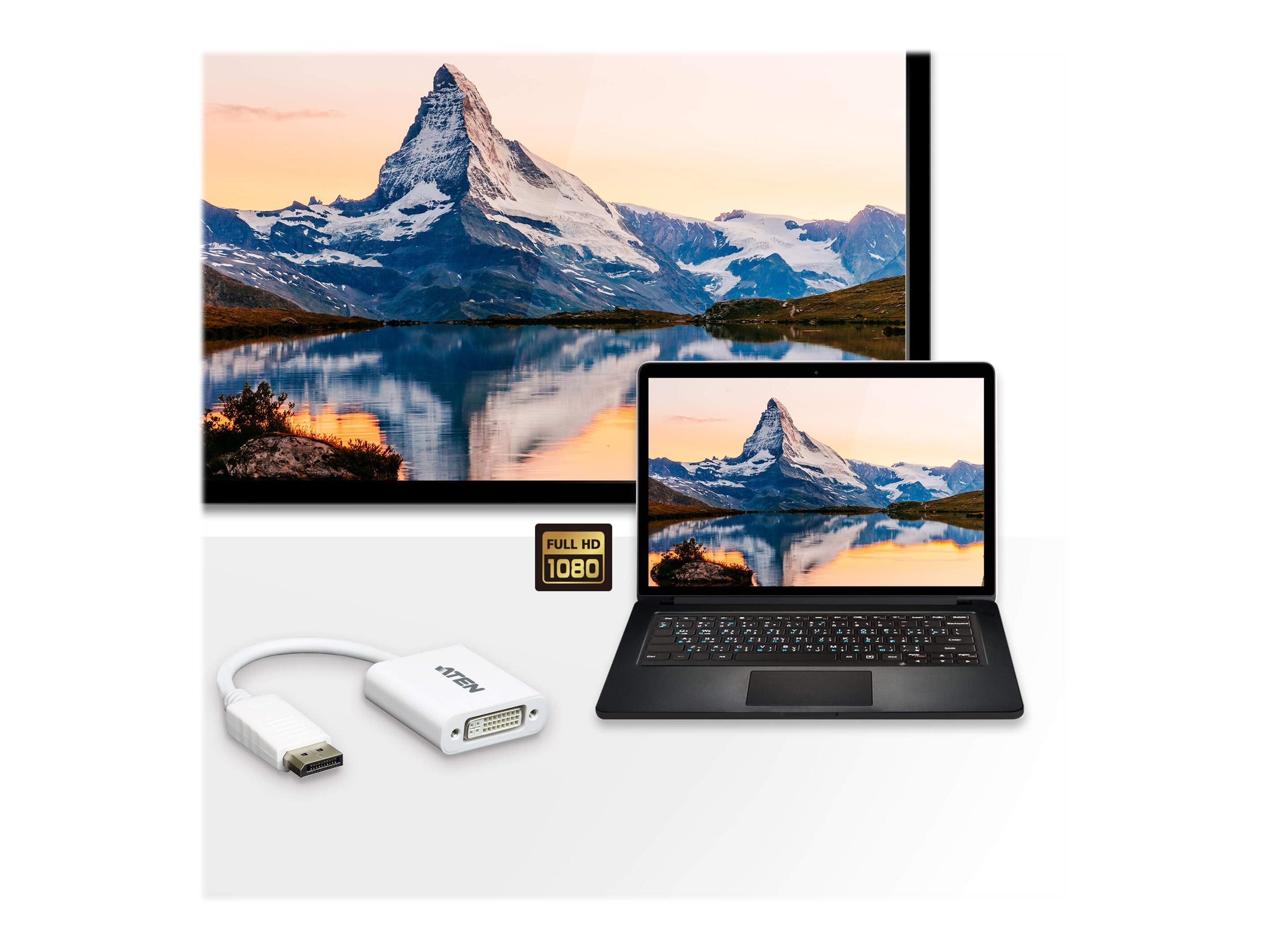 ATEN VC965 DisplayPort to DVI Adapter Anschlussansicht