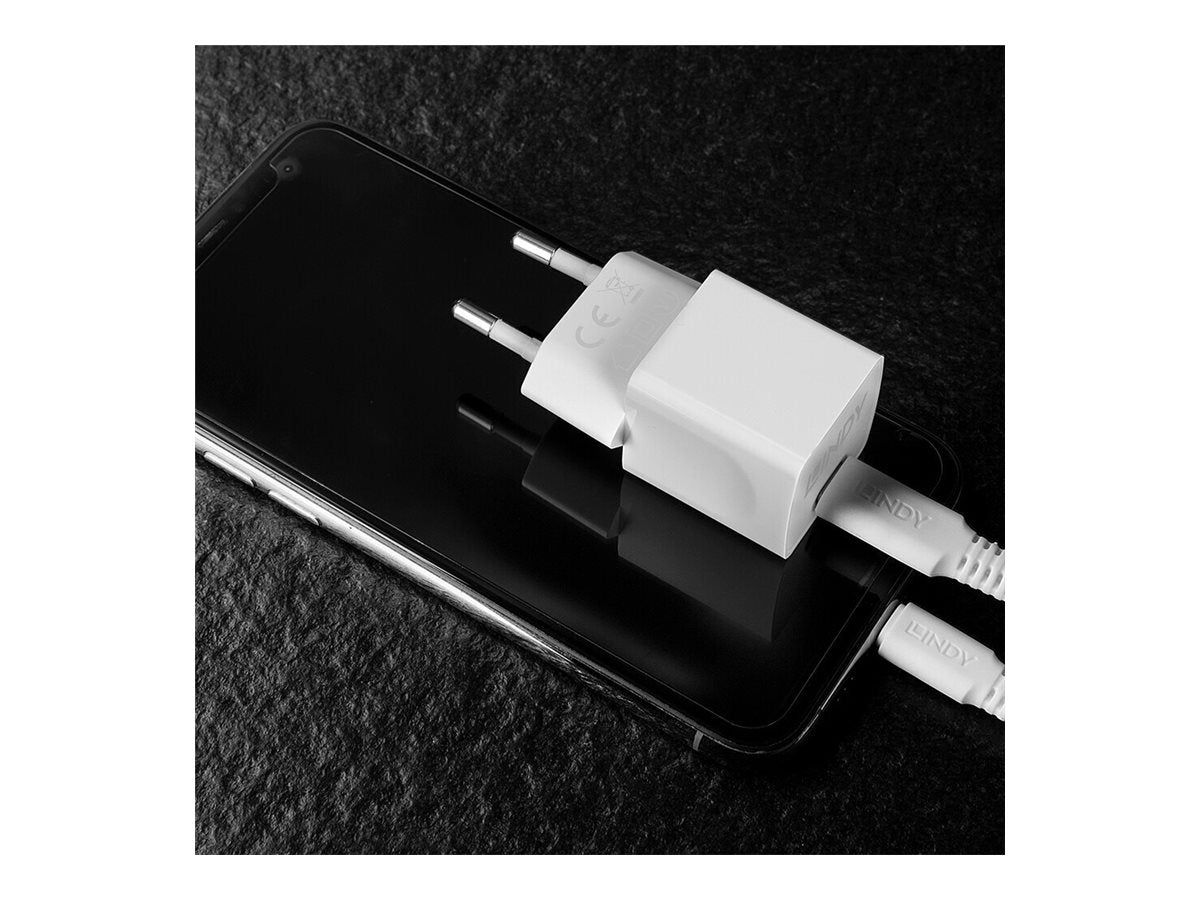 LINDY 20W Typ C PD Charger Detailansicht
