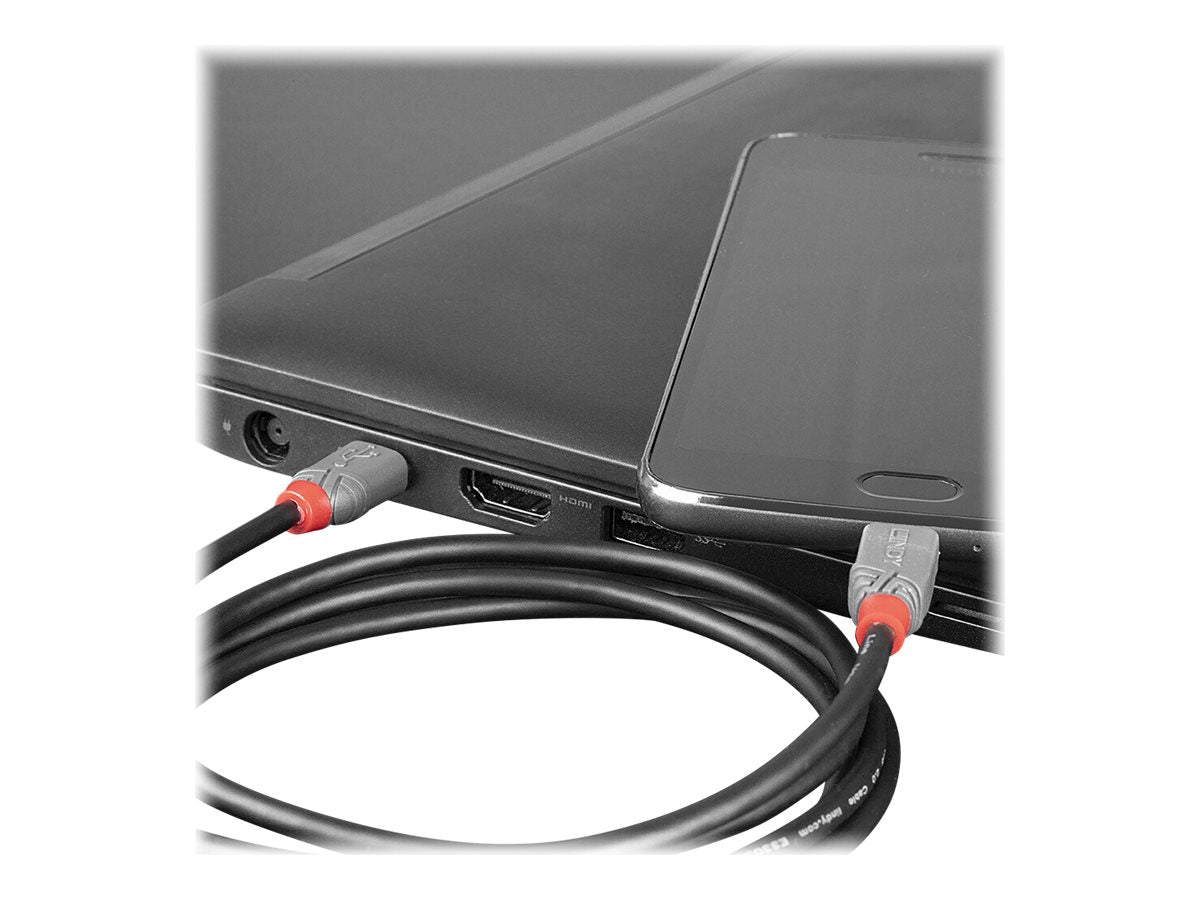 LINDY 0,5m USB 2.0 C/Micro-B Anthra Line Kabel - Vorderansicht