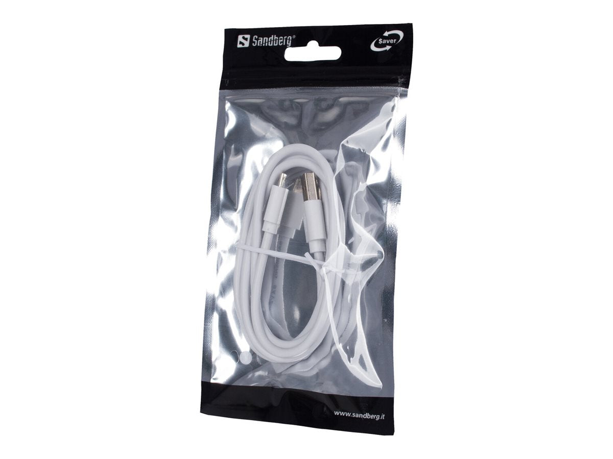 SANDBERG SAVER Micro USB Sync Ladekabel 1m Verpackung