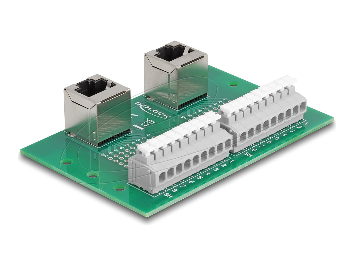 DELOCK RJ45 2 x Buchse zu 2 x Terminalblock mit Drucktaster für Hutschiene gewinkelt - Vorderansicht