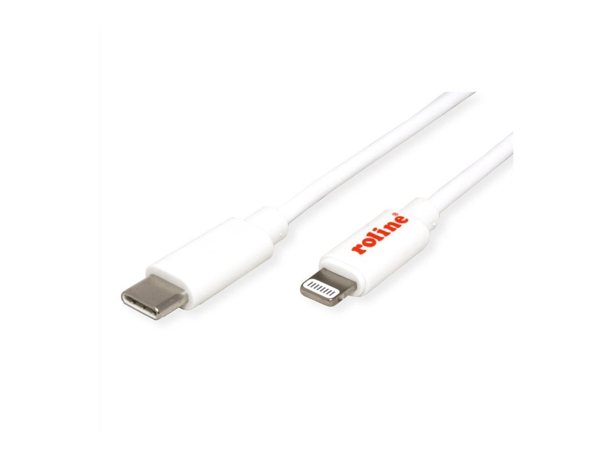 ROLINE USB C nach 8pin Lade/Synchro Kabel - Vorderansicht