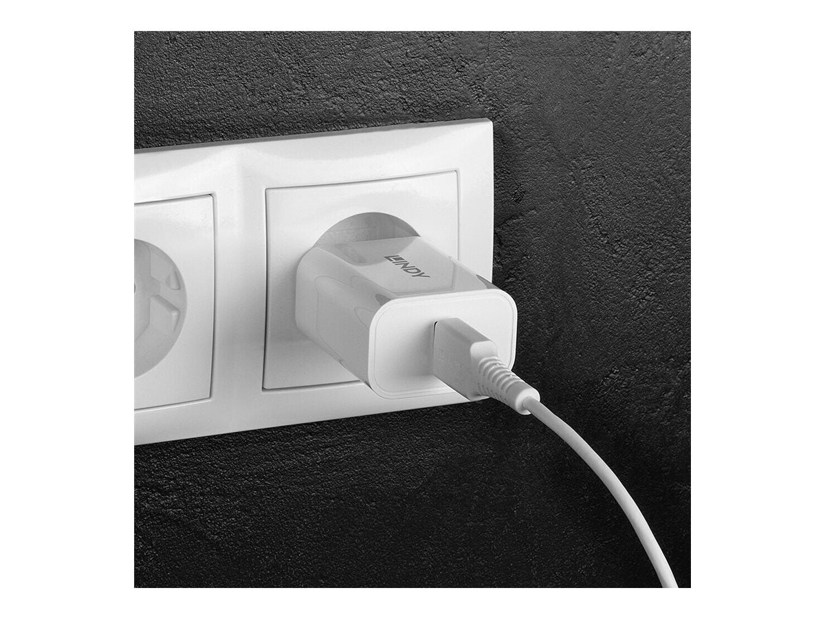 LINDY 18W 1 Port USB Type A Charger Detailansicht