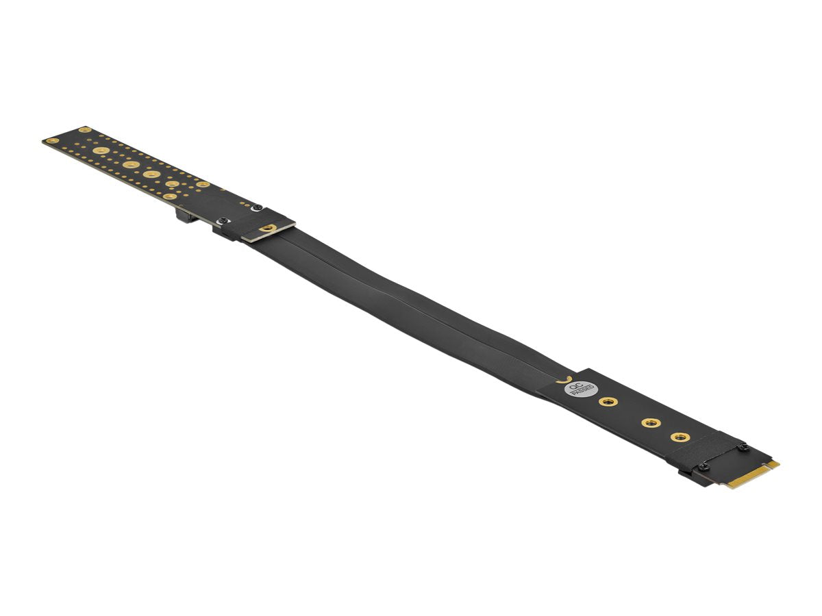 DELOCK Riser Karte M.2 Key M Verpackung