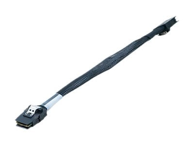 SYNOLOGY Cable MiniSAS RS18016xs+ Vorderansicht