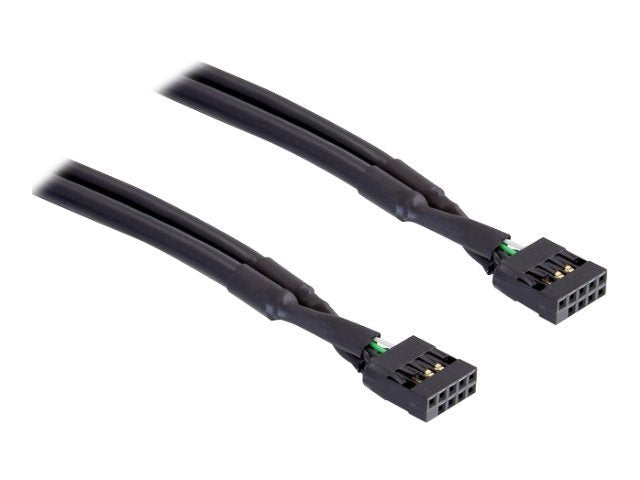 DELOCK Kabel USB Pinheader Bu-Bu 10pin 50cm - Vorderansicht