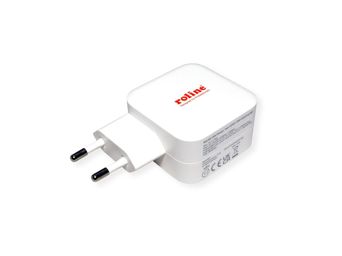 ROLINE USB Charger Verpackung