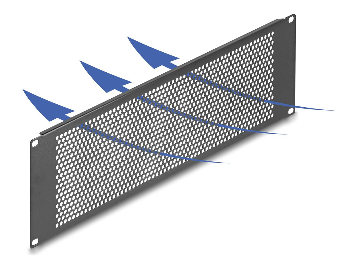 DELOCK 48,26cm 19Zoll Blindpanel mit runden Löchern - Vorderansicht