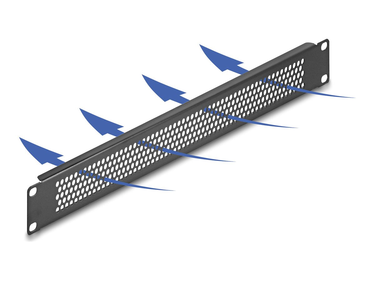 DELOCK 48,26cm 19Zoll Blindpanel mit runden Löchern Vorderansicht