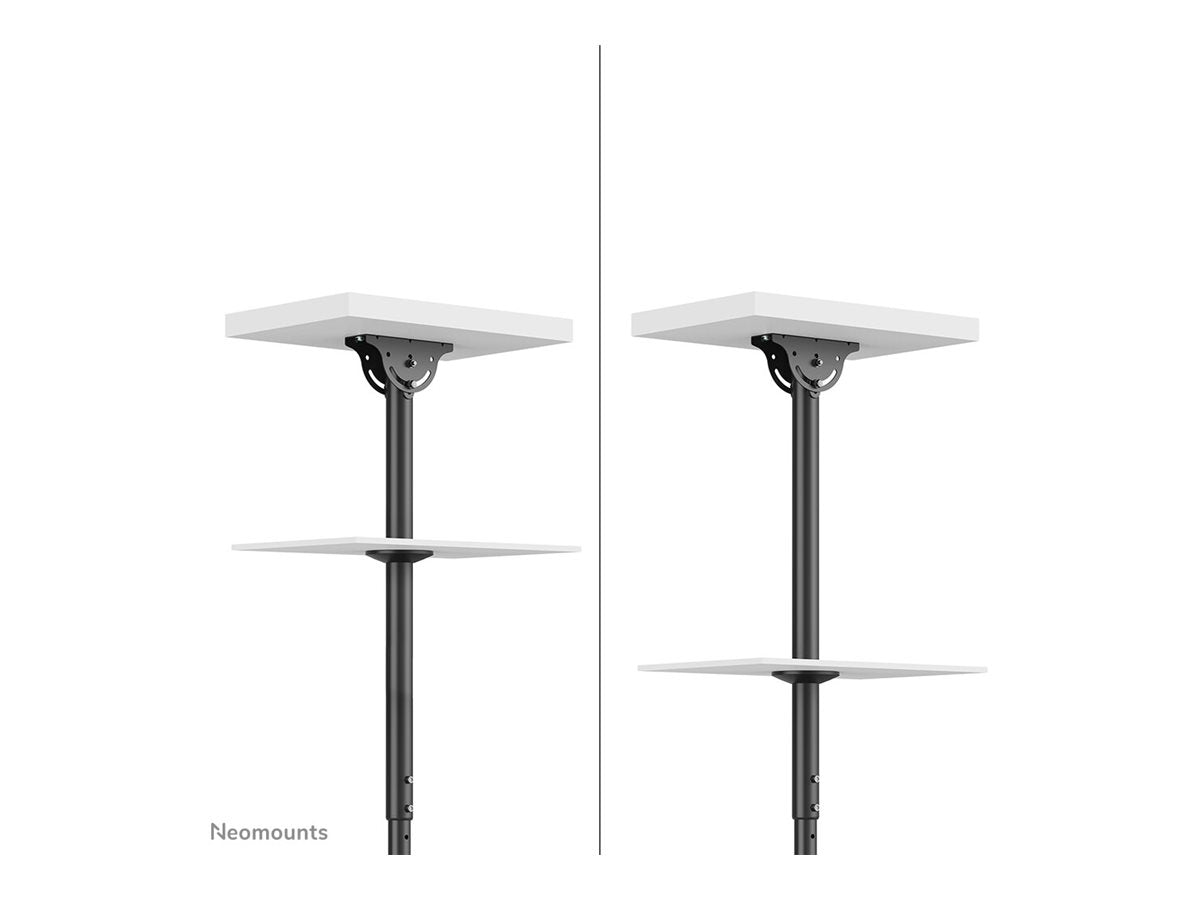 NEOMOUNTS Flat Screen Ceiling Mount Montageansicht