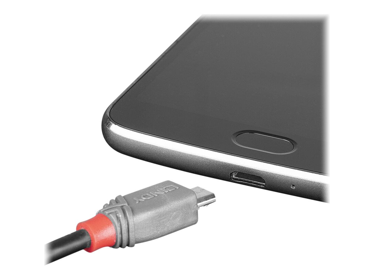 LINDY 0,5m USB 2.0 C/Micro-B Anthra Line Kabel - Verpackung