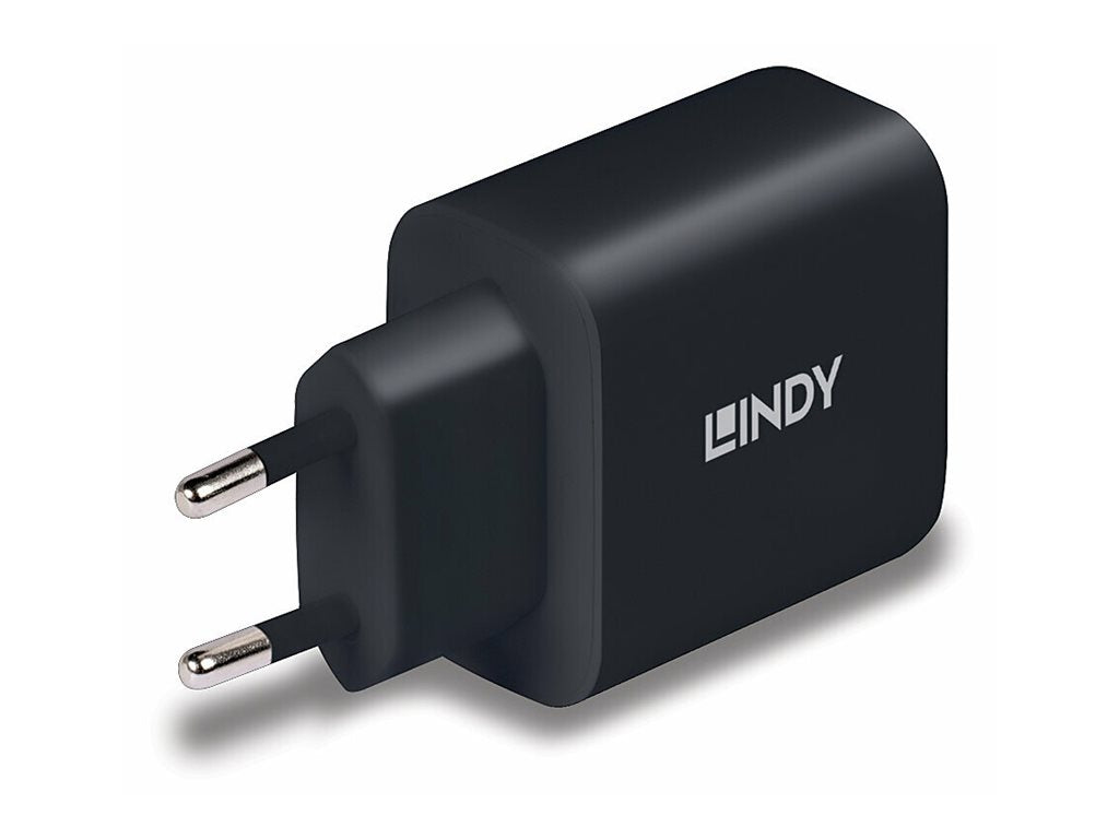 LINDY 65W USB Type C GaN Charger Detailansicht