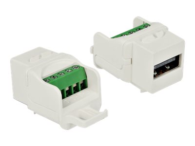 DELOCK Keystone Modul USB 2.0 A Buchse zu Terminalblock - Verpackung