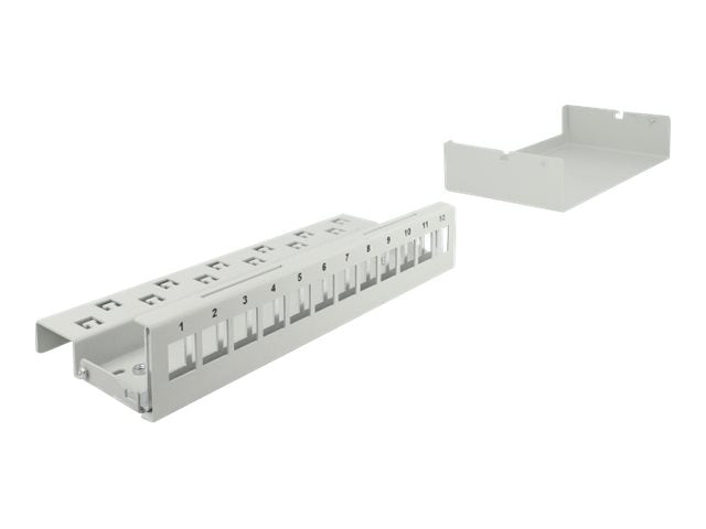 DELOCK Keystone Patchpanel 12 Port grau - Vorderansicht