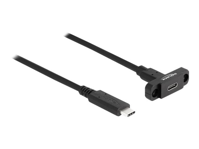 DELOCK SuperSpeed USB 10 Gbps Kabel USB Type-C Stecker zu Buchse 1m - Vorderansicht
