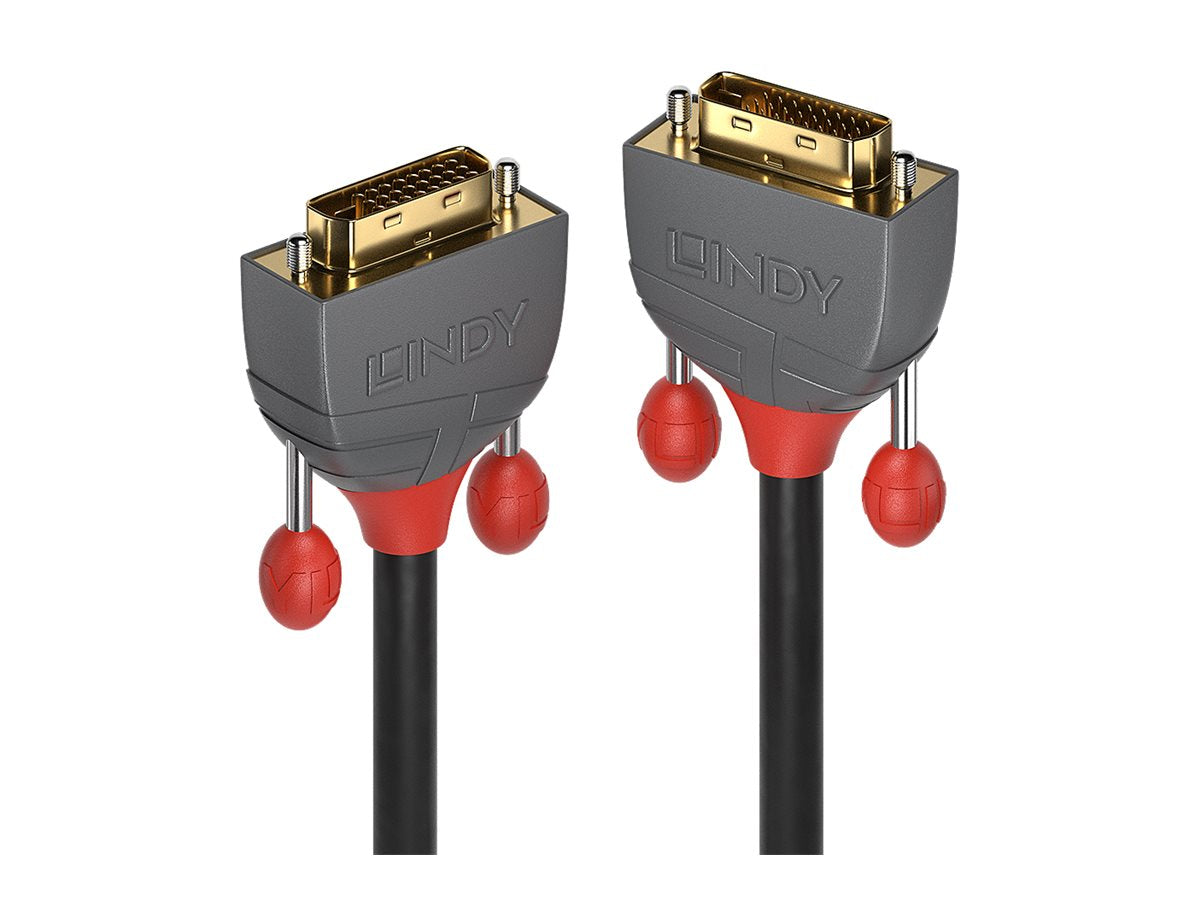LINDY 0,5m DVI-D Dual Link Kabel Vorderansicht