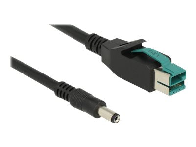DELOCK PoweredUSB Kabel Stecker 12 V > DC 5,5 x 2,1 mm Stecker 3 m - Vorderansicht
