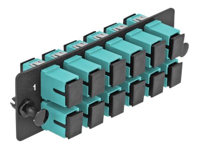 DELOCK LWL Adapter Panel SC Simplex OM4 12 Port Vorderansicht