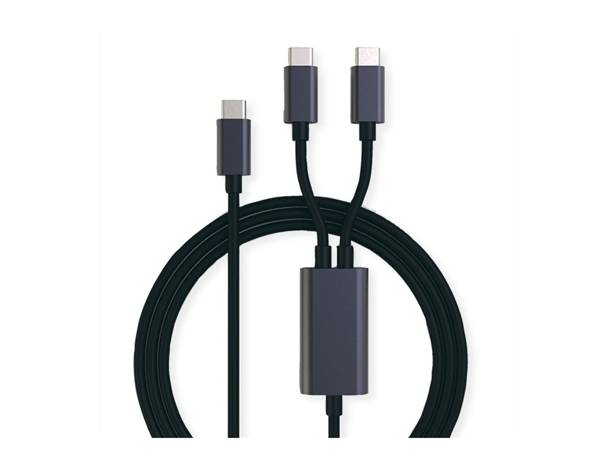 ROLINE USB Typ C Split-Ladekabel Vorderansicht