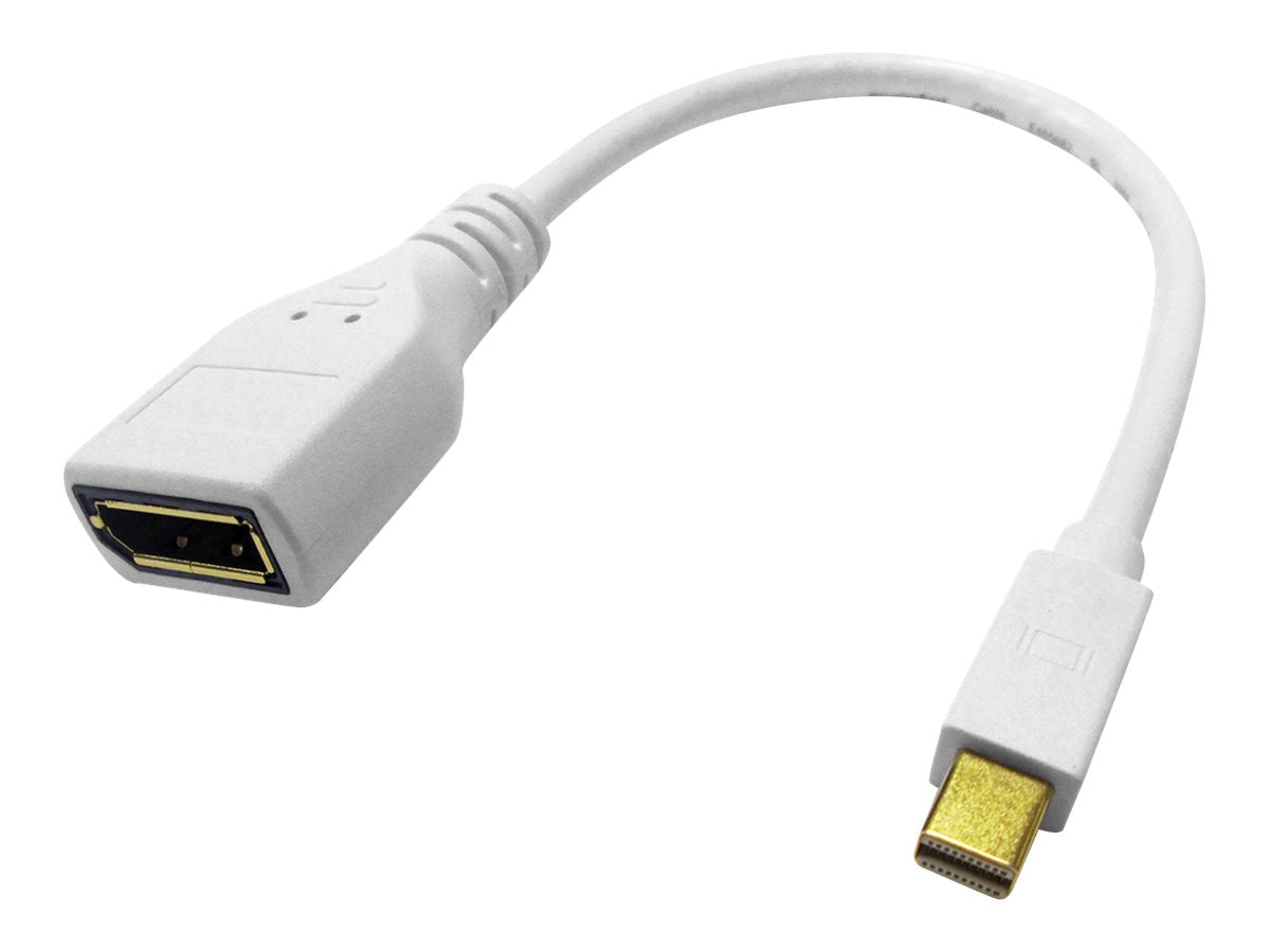 ROLINE DisplayPort Kabeladapter DP BU - Mini DP ST Vorderansicht