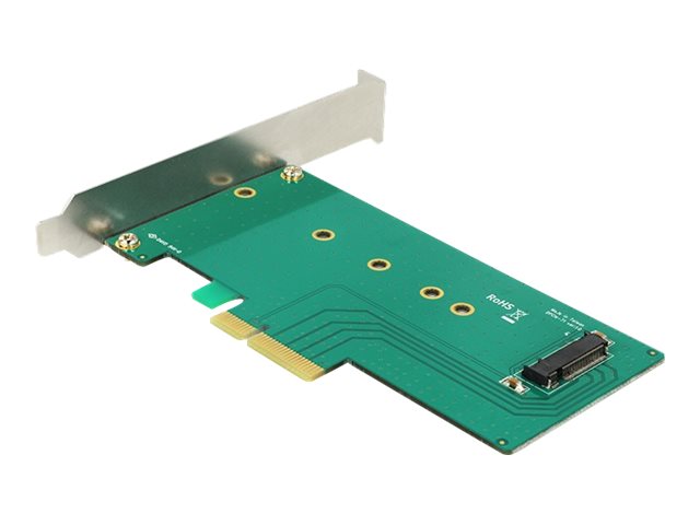 DELOCK PCIe 4.0 x4 Karte Verpackung