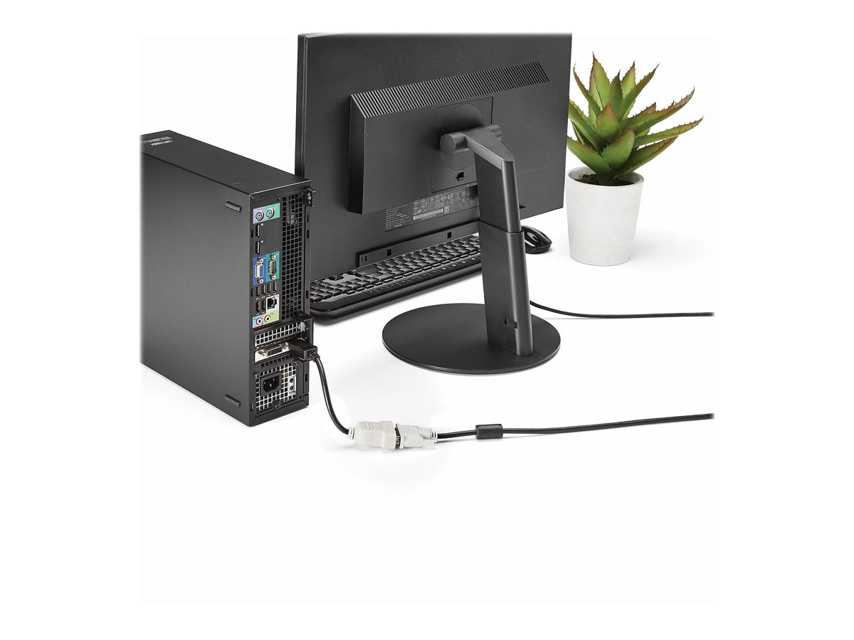 STARTECH.COM DisplayPort Adapter auf DVI - Verpackung