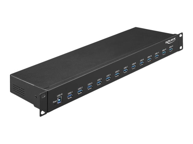 DELOCK 48,26cm 19Zoll Industrie Hub Verpackung