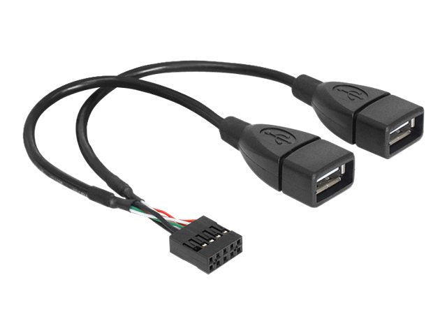 DELOCK Kabel USB Pinheader Buchse Vorderansicht