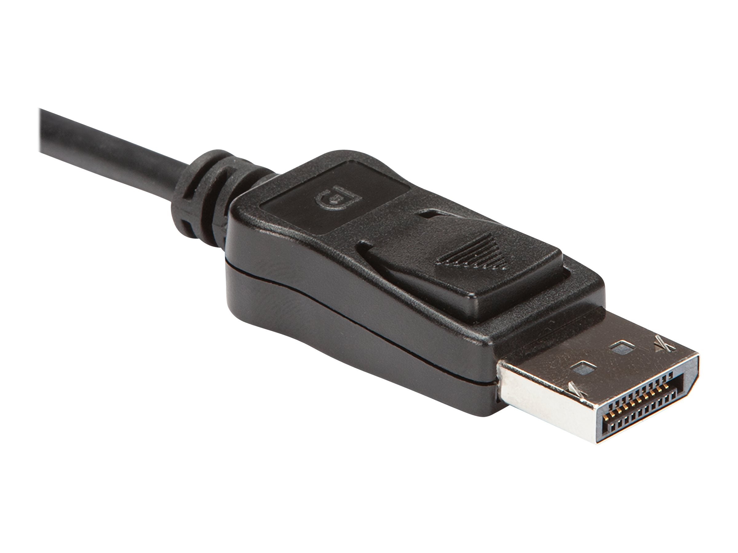 STARTECH.COM DisplayPort auf Dual Link DVI Konverter Anschlussansicht