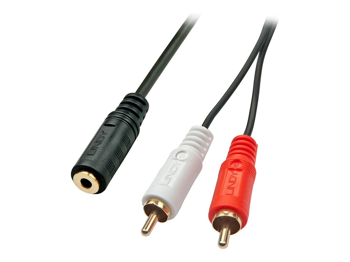 LINDY Audiokabel Stereo 3,5mm female / 2x RCA male 25cm vergoldet - Vorderansicht