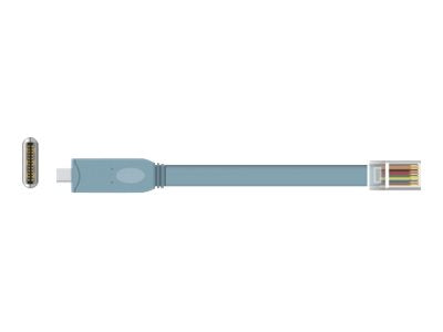 DELOCK Adapter USB 2.0 Typ-C Stecker > 1 x Seriell RS-232 RJ45 Stecker 0,5m grau - Verpackung