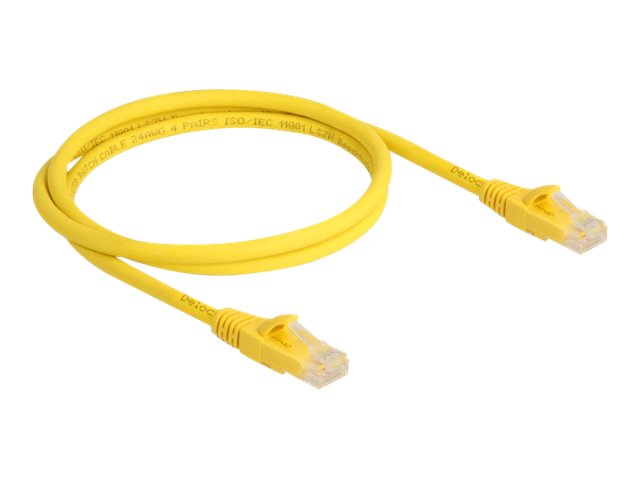 DELOCK RJ45 Kabel Cat.6A U/UTP Fast Tracing 1m - Vorderansicht