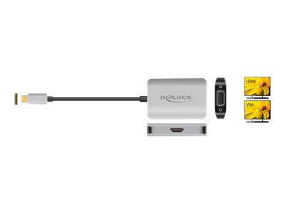 DELOCK USB Type-C Splitter Anschlussansicht