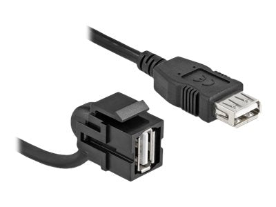 DELOCK Keystone Modul USB 2.0 A Buchse 110 Vorderansicht