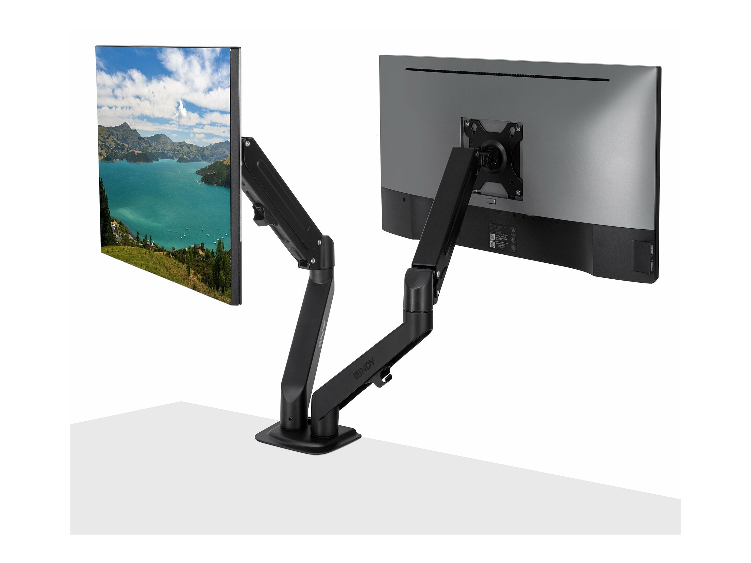 LINDY Dual Mount Desktop Gasfederarm - Schwarz Detailansicht