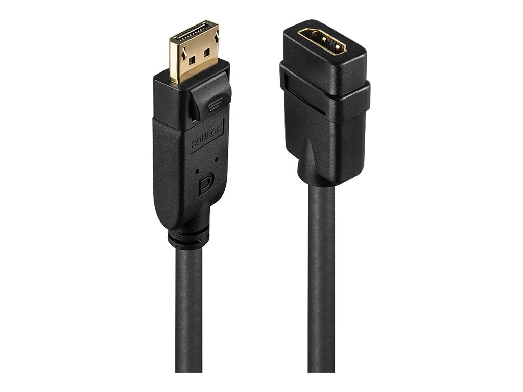 LINDY DP an HDMI Adapter Classic - Vorderansicht