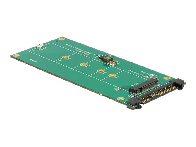 DELOCK Konverter U.2 SFF-8639 NVMe > 1 x M.2 Key M - Vorderansicht