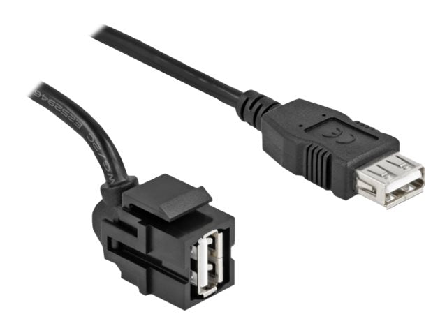 DELOCK Keystone Modul USB 2.0 A Buchse 250 - Vorderansicht