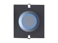 BACHMANN Rahmen 1xTaster Edelstahl beleuchtet blau