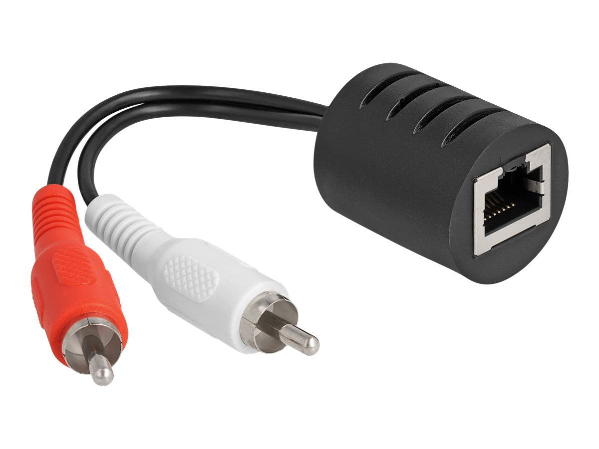 DELOCK Stereo Audio Extender RJ45 Buchse zu 2 x Cinch Stecker Vorderansicht