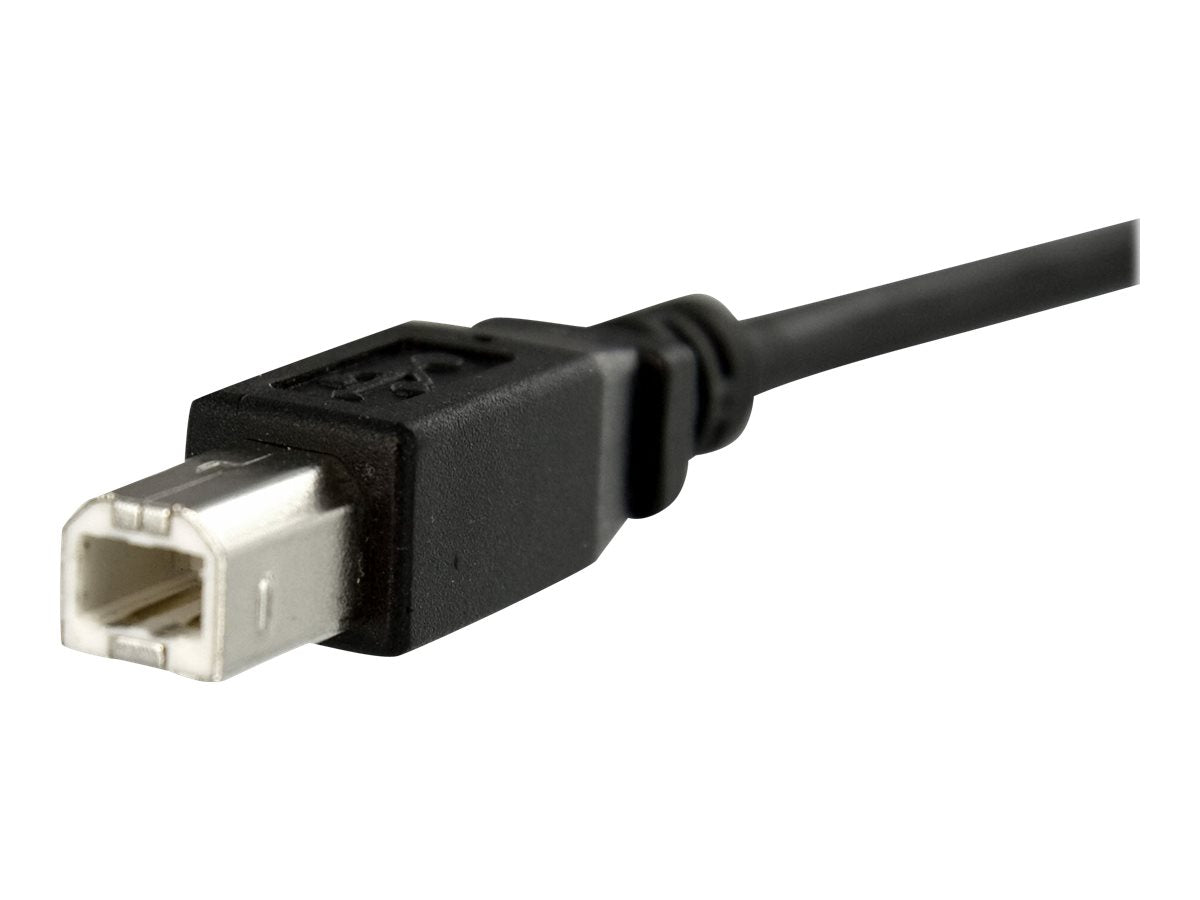 STARTECH.COM 1 ft Panel Mount USB Cable B to B - F/M Vorderansicht