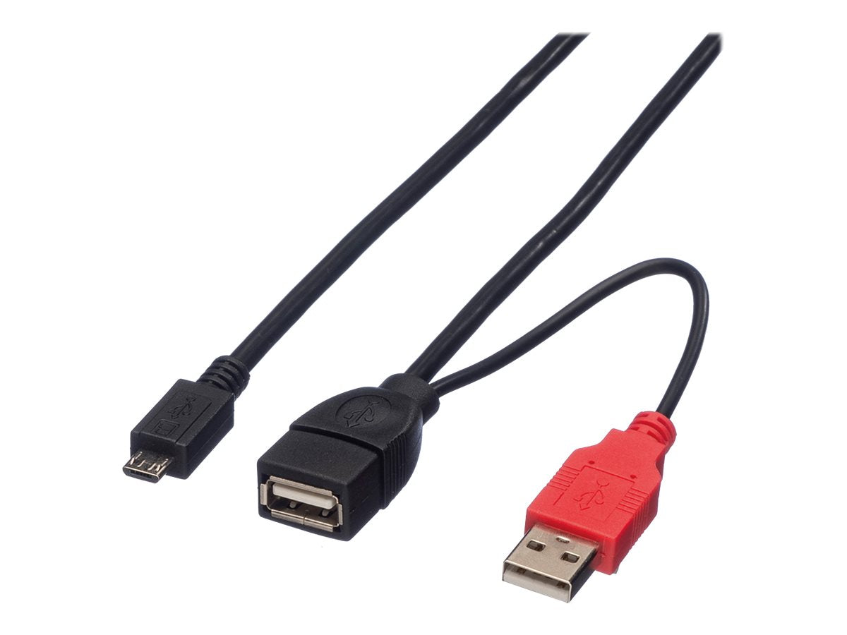 ROLINE USB 2.0 Y-Kabel 2x Typ A ST / BU - Micro B ST 1m Vorderansicht